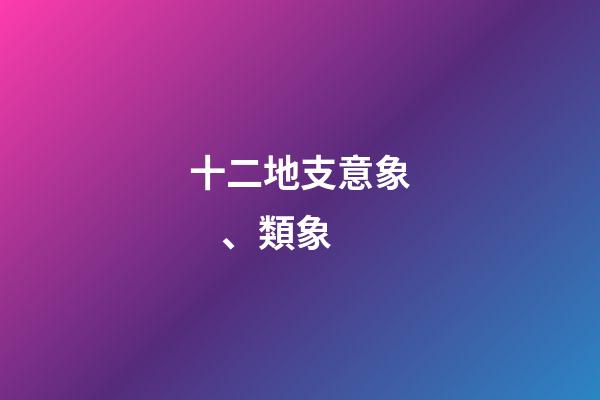十二地支意象、類象